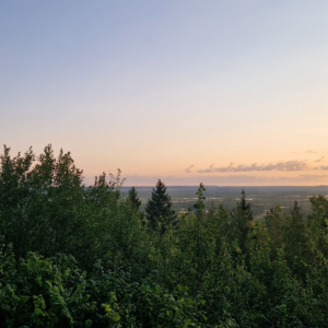 Sünnitusjärgne plaan STANDARD 🇪🇪 🇬🇧
